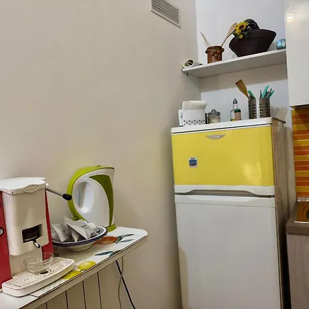 Orange Lemon Center 公寓 巴勒莫